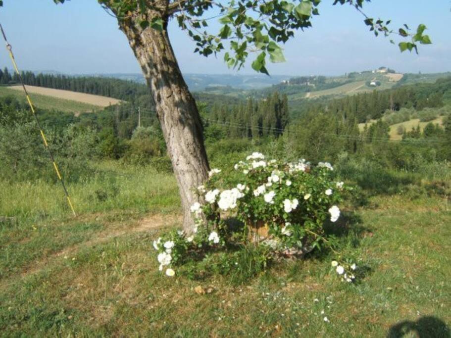 La Casina Nel Chianti Holiday home *