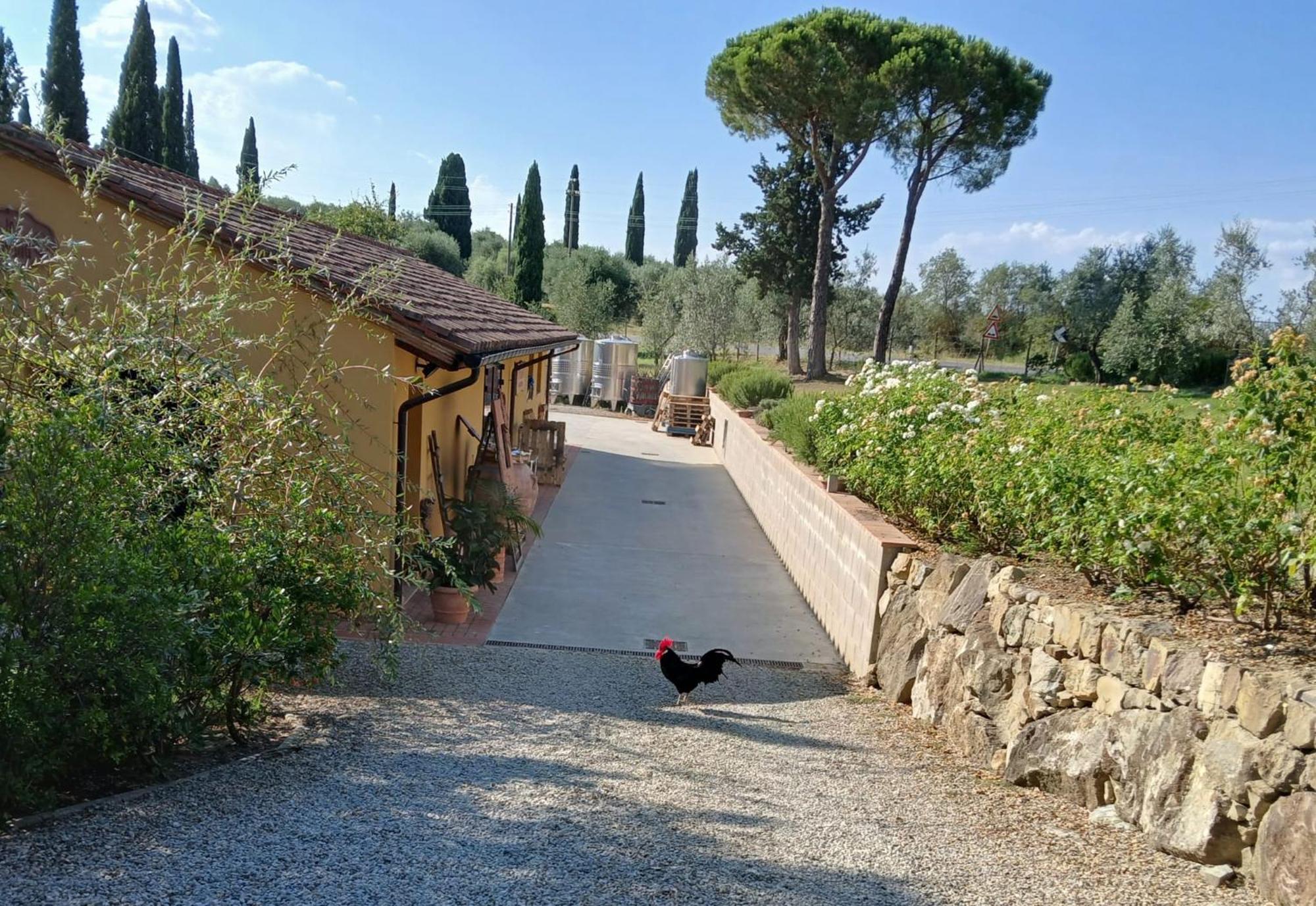 La Casina Nel Chianti Holiday home
