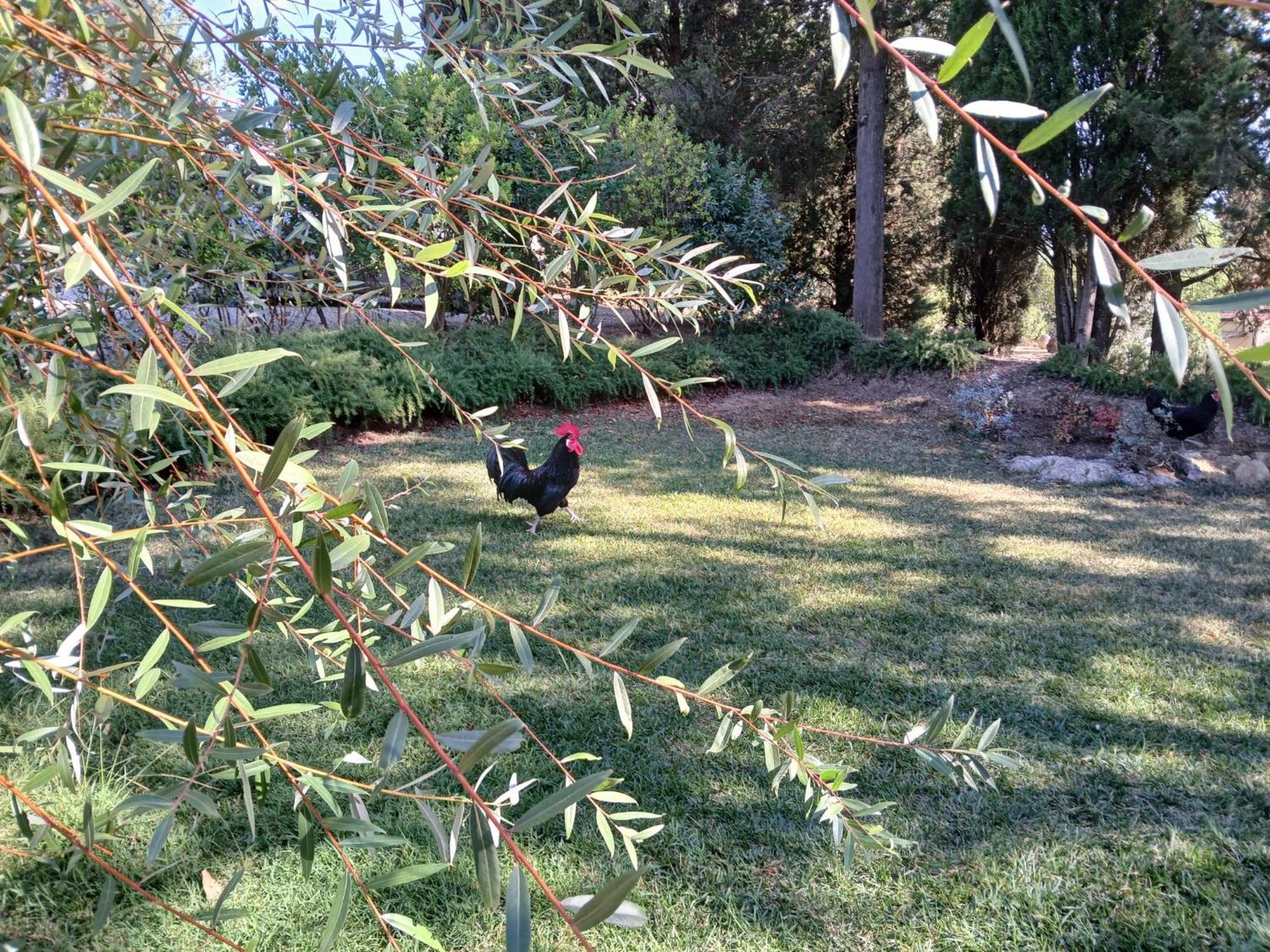 La Casina Nel Chianti Holiday home